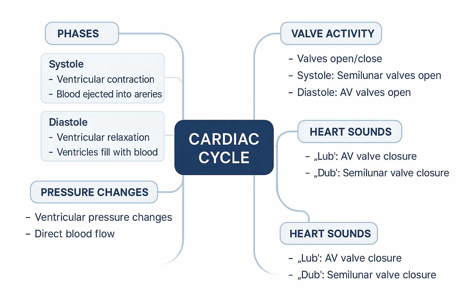 Cardio Macrocycle Examples Lesson 2: The Cardiac Cycle: Mechanics, Pathologies, and Clinical ...
