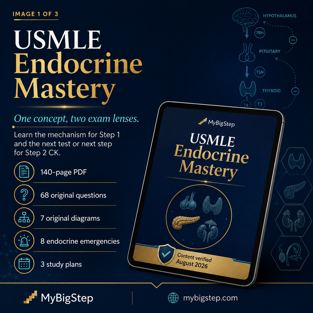 USMLE Endocrine Mastery cover, a 140 page endocrinology guide for USMLE Step 1 and Step 2 CK