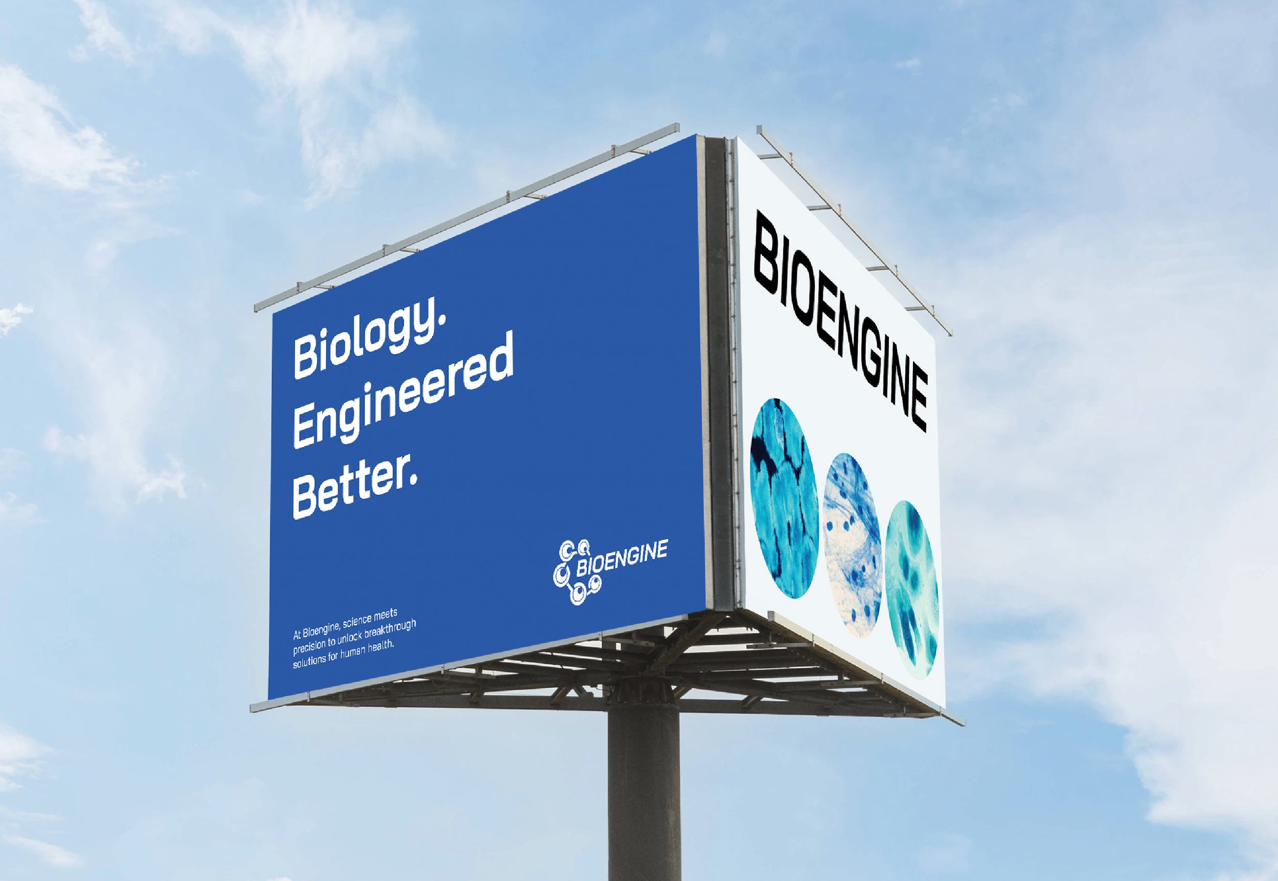 1Artboard 43 copy 81.png