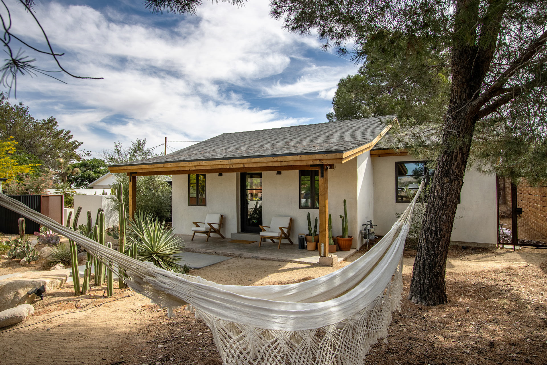 high end landscape design with desert pool and cactus garden