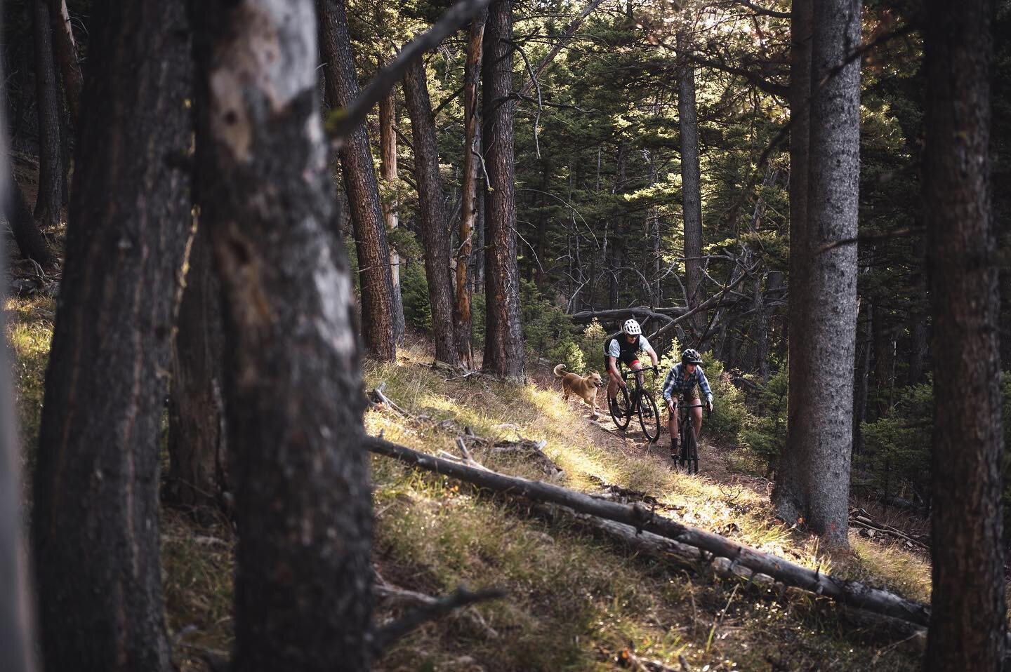 Calibrated Coaching, LLC 
Tom Cuddy (@tomcuddy ) and I (@schehrer16) are super stoked to share our new business! 

Our mission is to create an atmosphere for athletes that encourages progress, a new level of skill sets, and happiness in the outdoors.