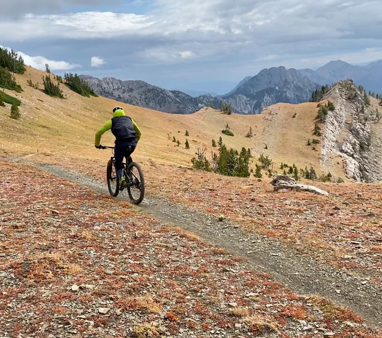 Screen Shot 2024-07-24 at 2.07.45 PM.png