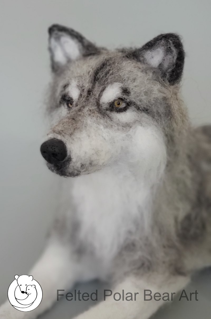 Wolf 10.jpg