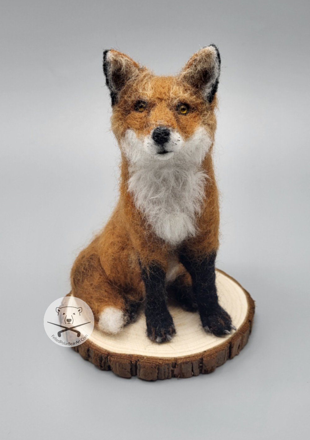 Sitting Red Fox 2023