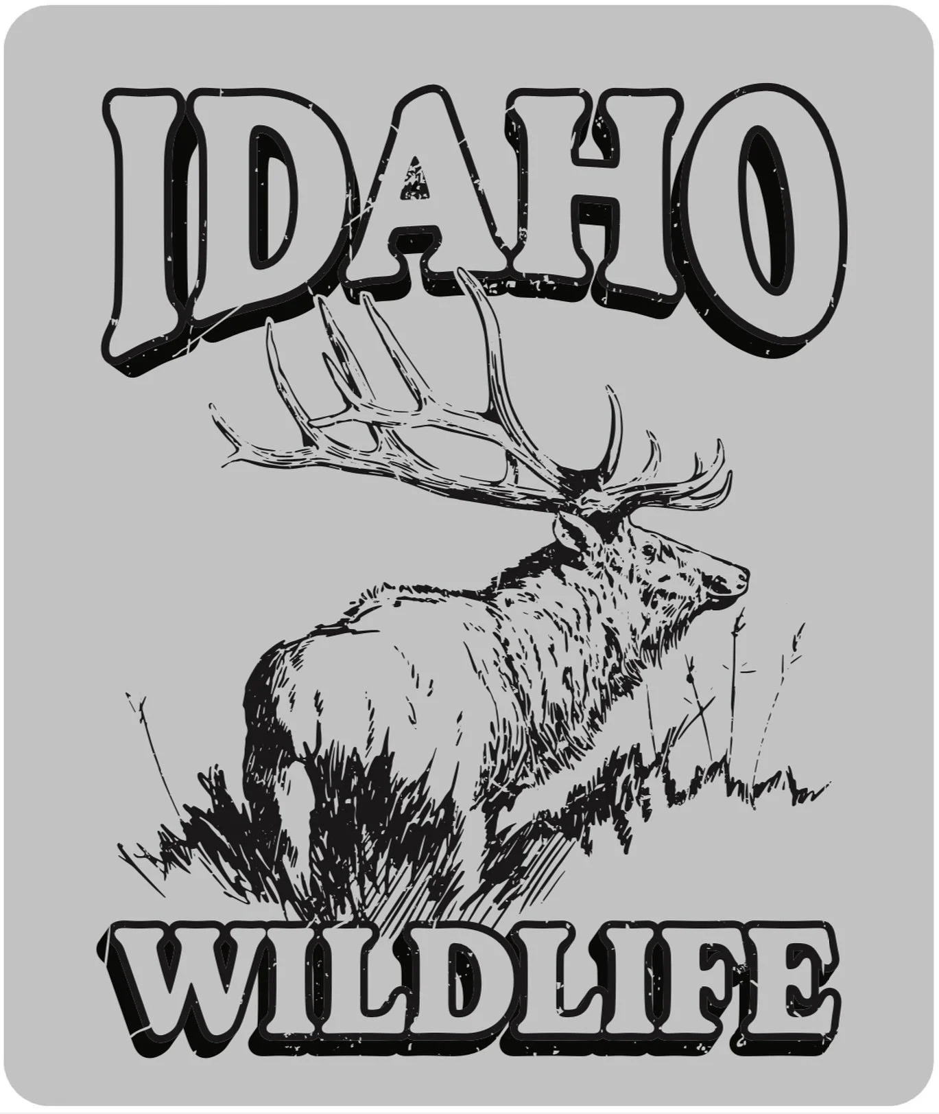 Idaho Wildlife design by Jeff Turner 🌲🦌 Hope everyone had a great Christmas and New year! 🎉 #graphicdesign #boisegraphics #adobeillustrator