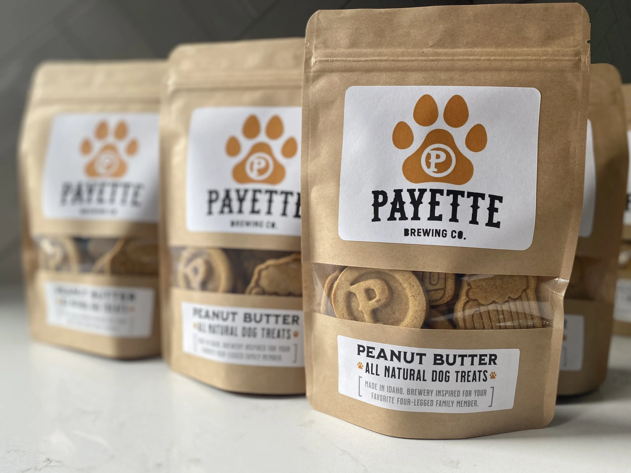 Payette brewing Treat Photo Shoot.jpeg