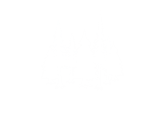 Evergreen Therapy &amp; Wellness