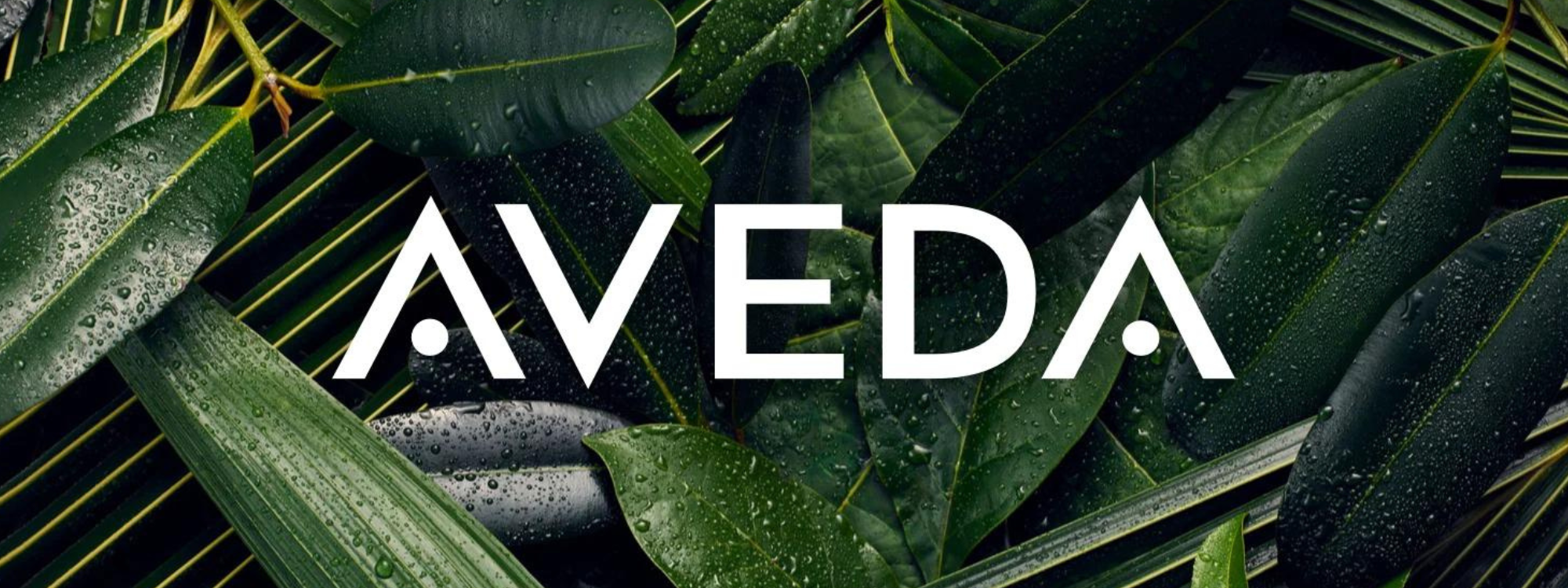 portrait_POG (1).png