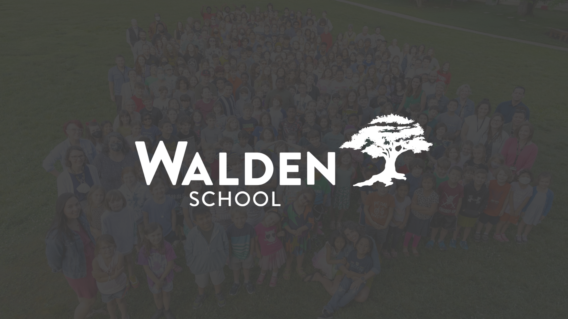 abigail-walden3 (1).png