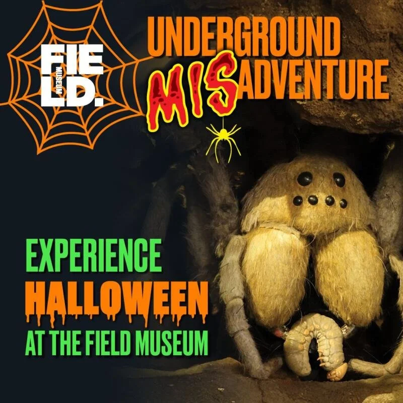 Underground-MISadventure-Field-Museum-800x800.jpeg