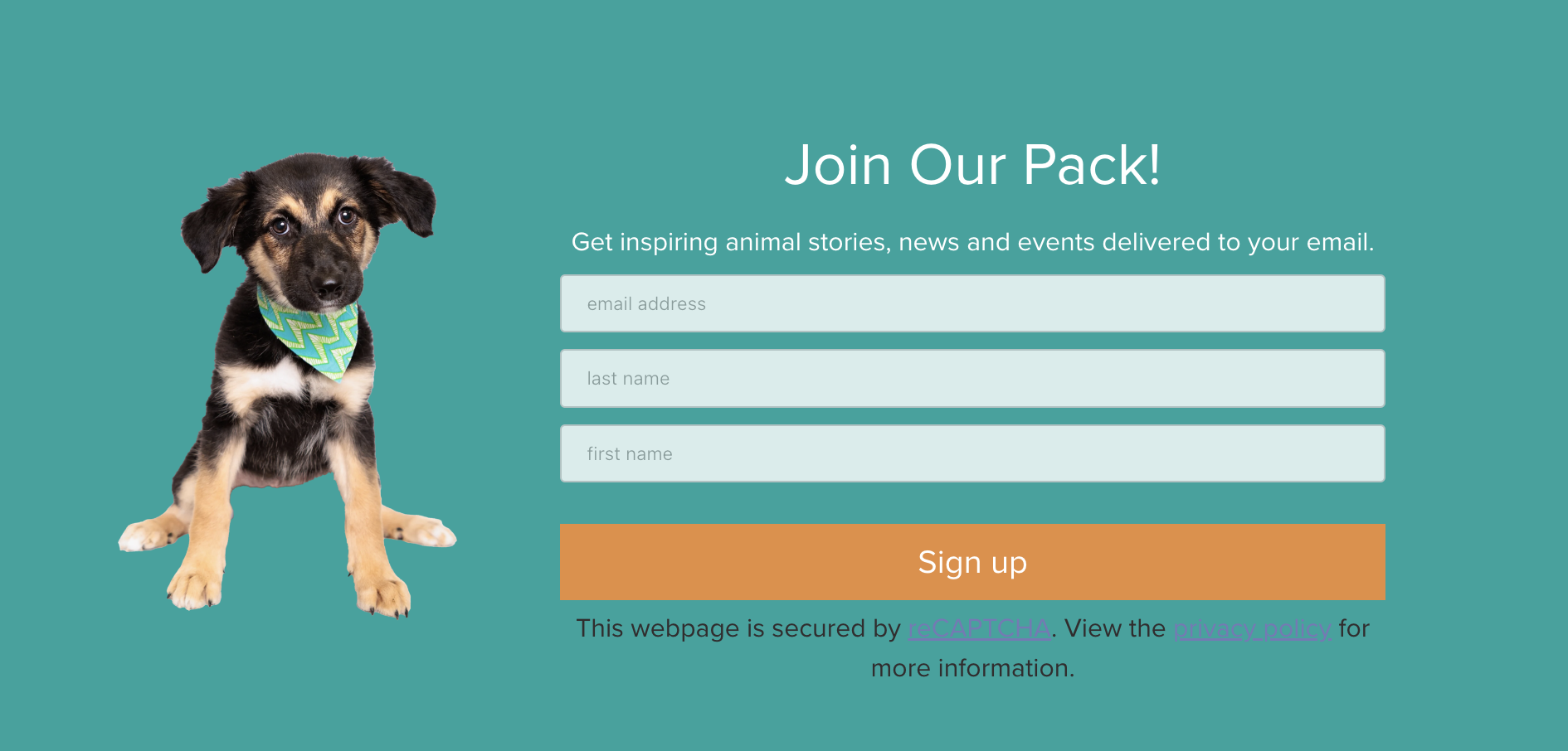 Screenshot 2024-07-08 at 4.32.08 PM.png