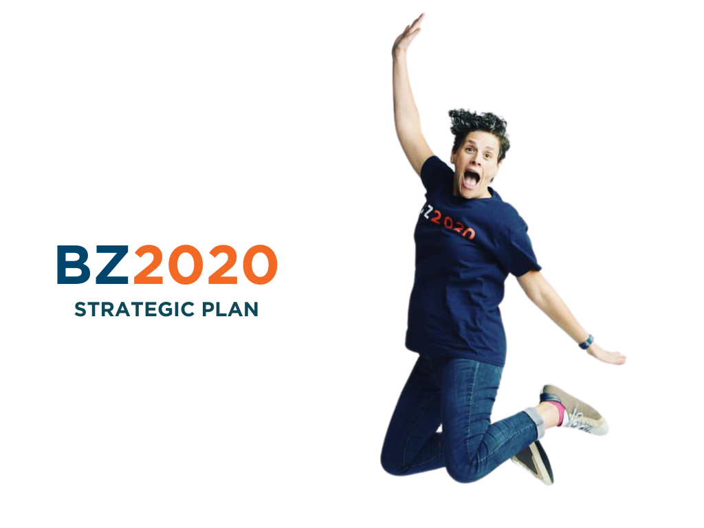BZ2020 Strategic Plan