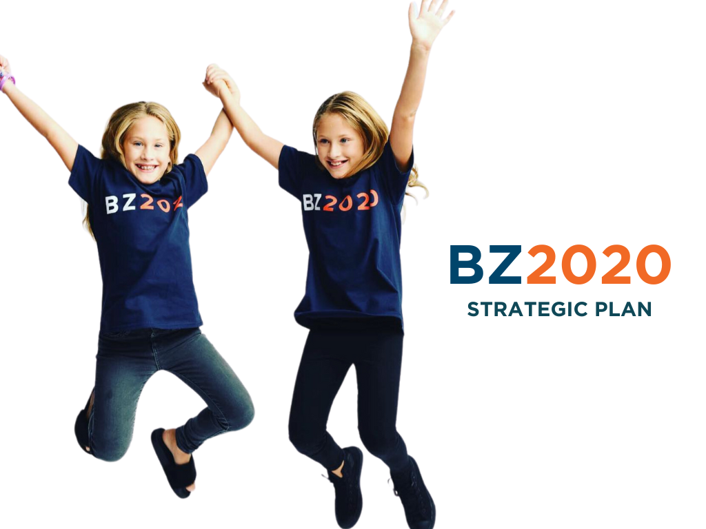 BZ2020 Strategic Plan