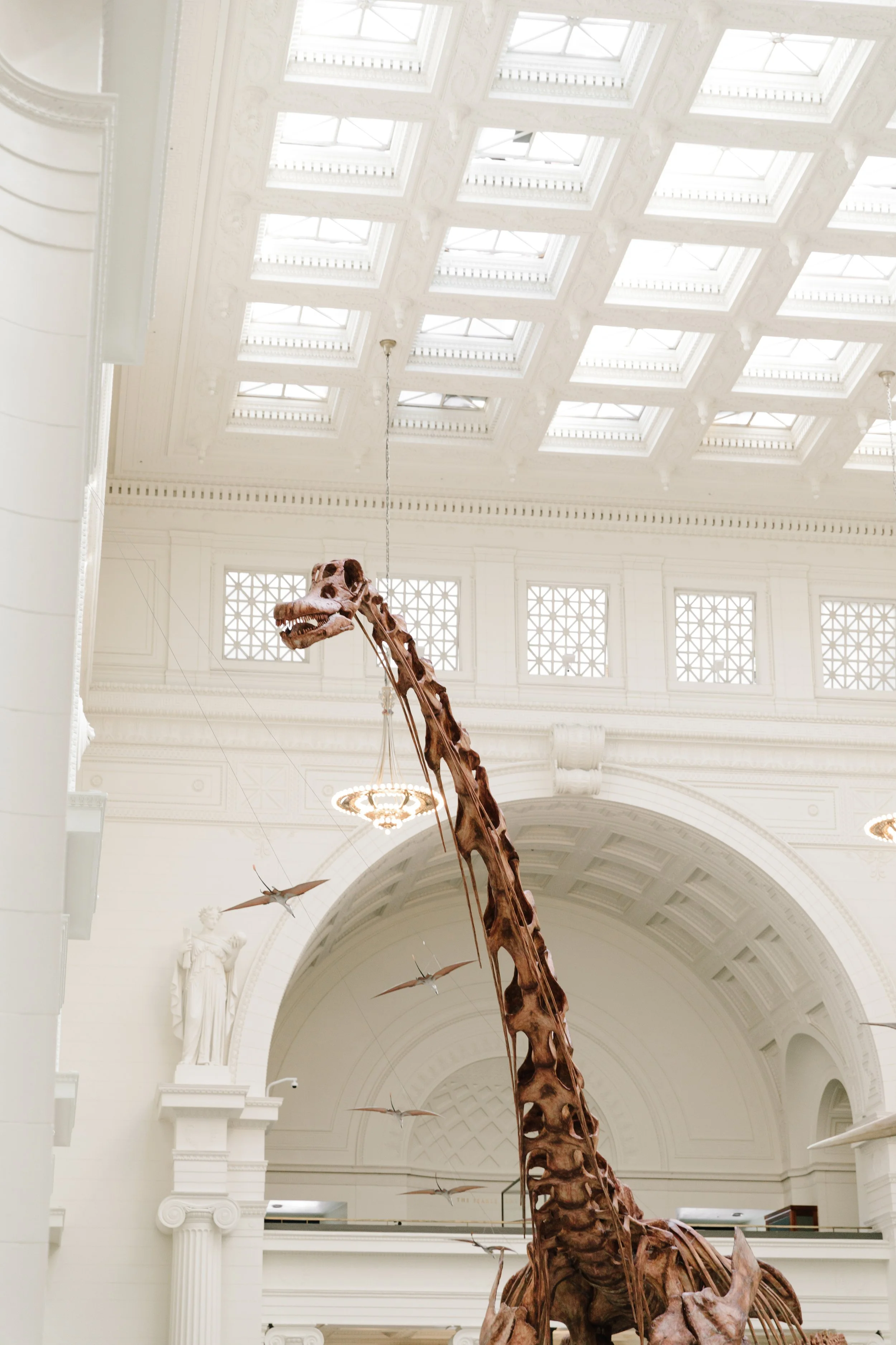Field Museum of Natural History