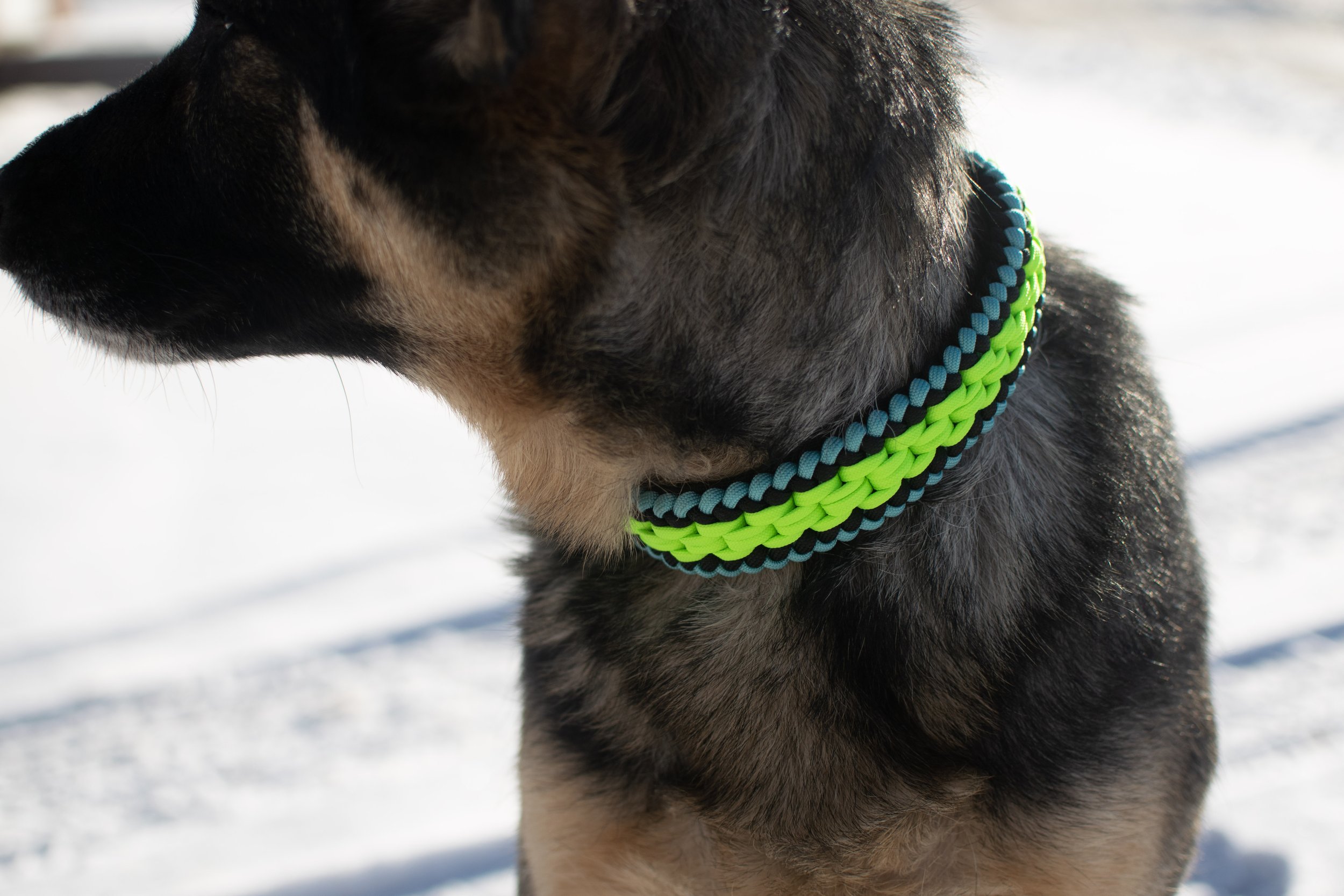 Paracord Dog Harness — Five Fifty Master Creations