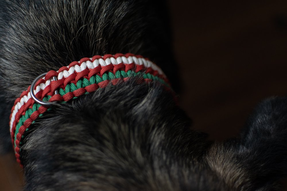 paracord dog collar clasps, paracord dog collar clasps Suppliers and  Manufacturers at