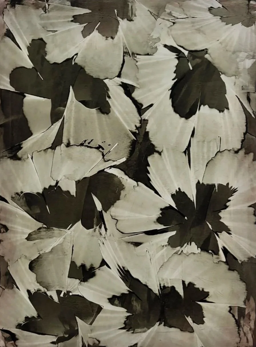 Kate Hodgetts