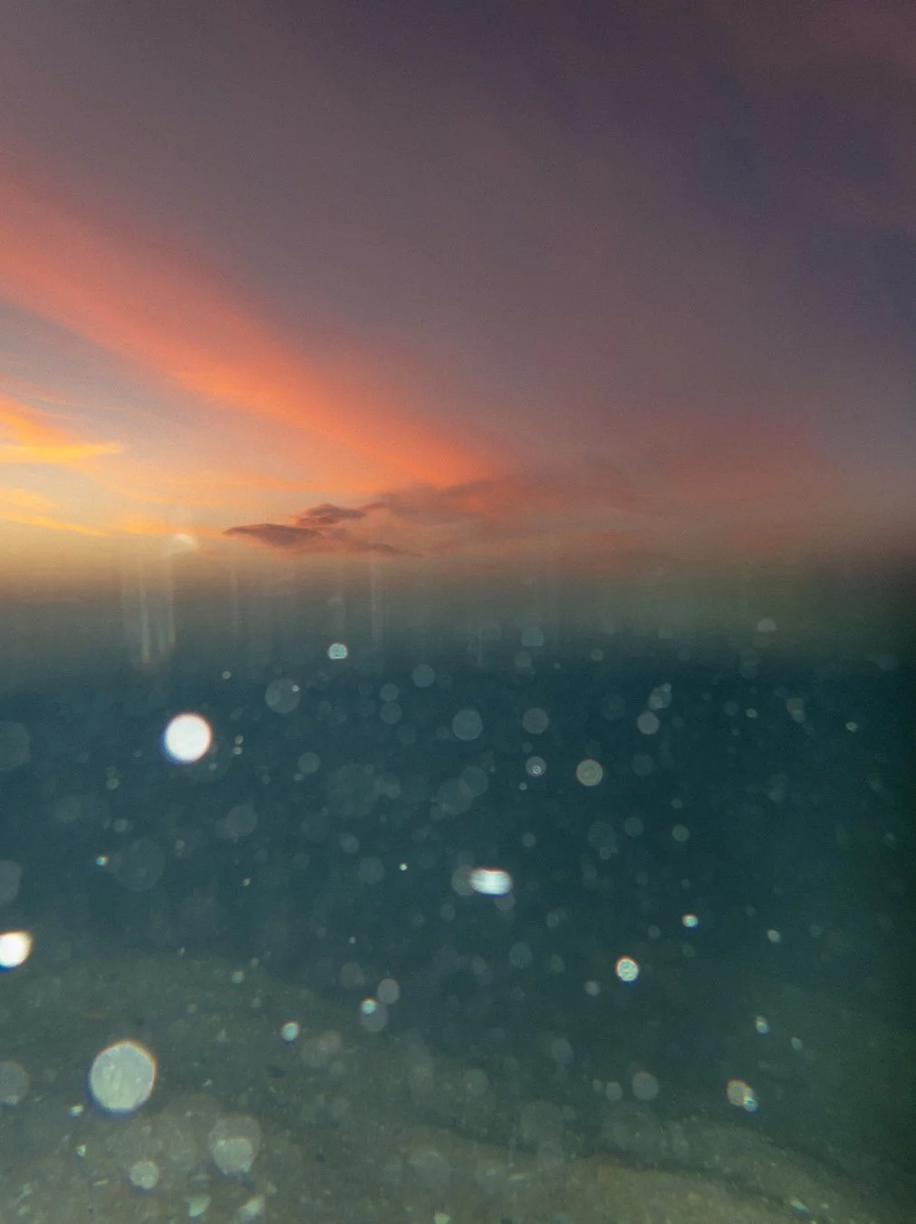 Night Swimming