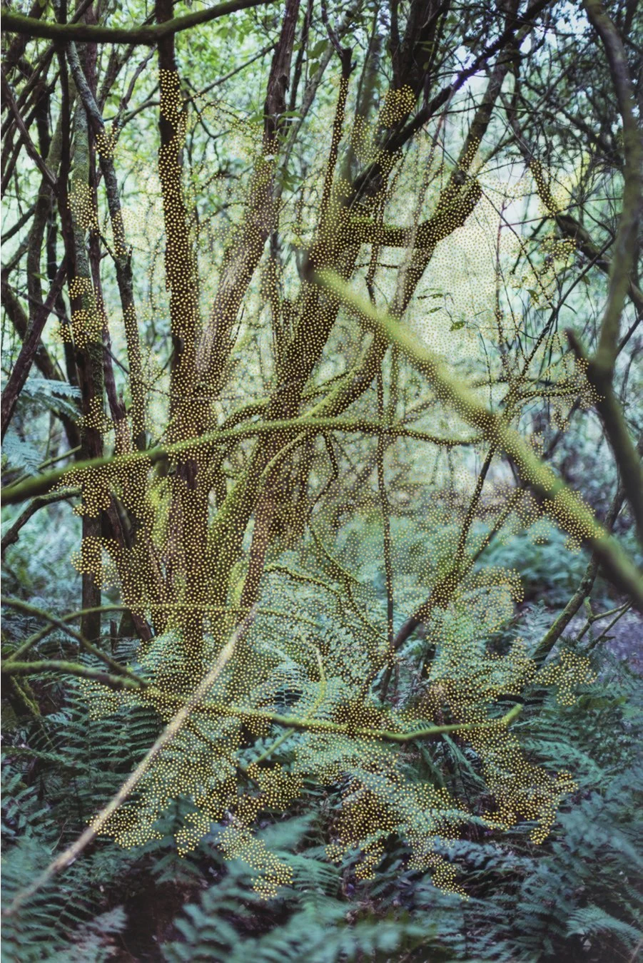 Apparition Apparatus #2