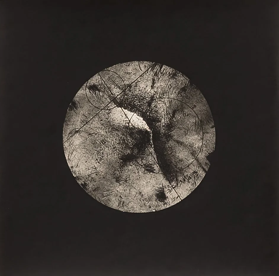 Radial #19