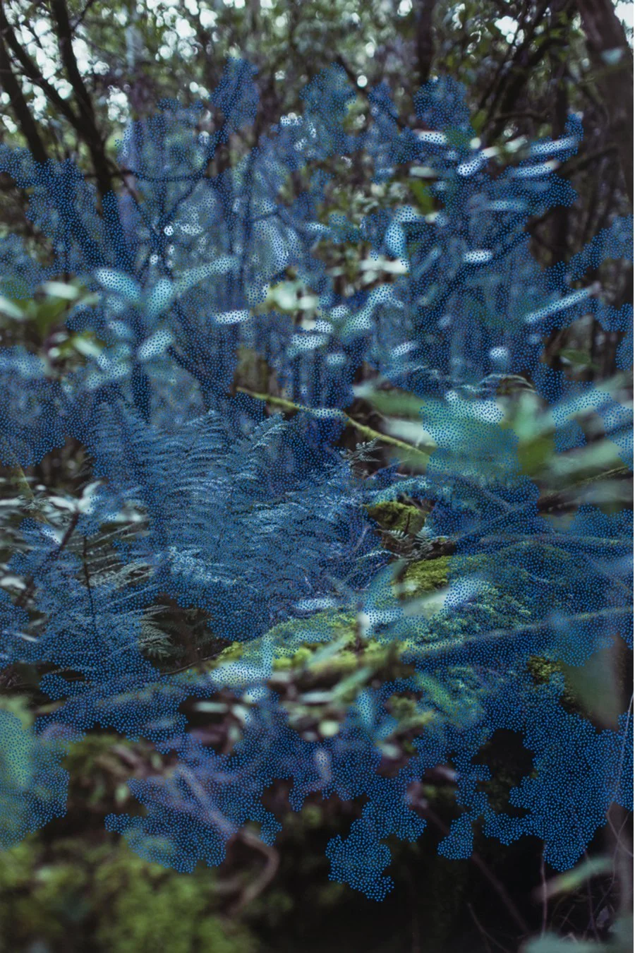 Apparition Apparatus #3