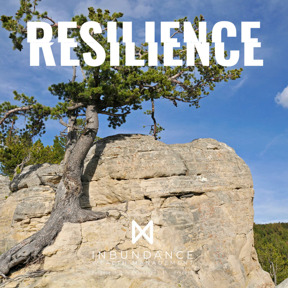 The Art of Resilience: Redefining the Modern Savings Experience