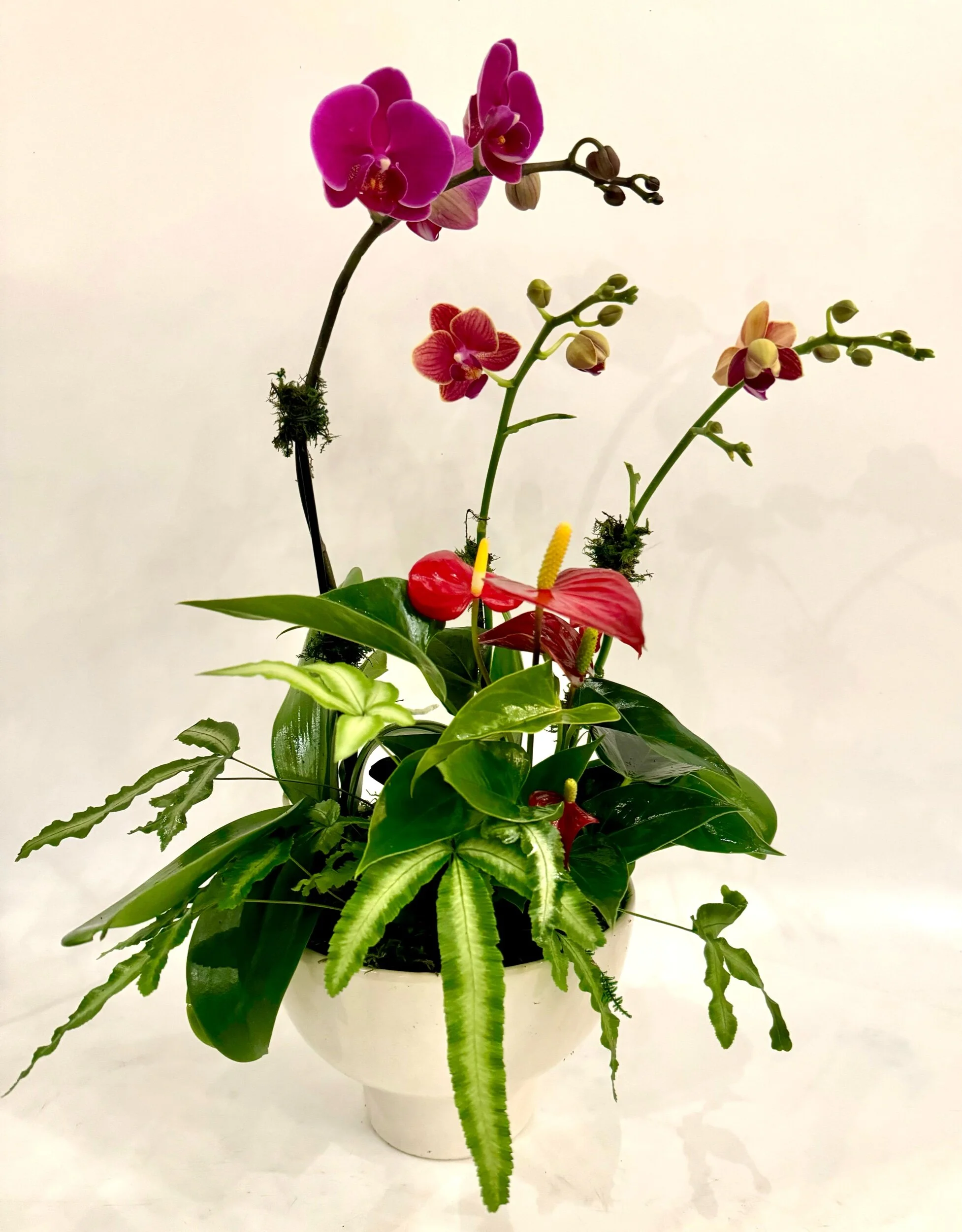 Shop Bloom — Bloom