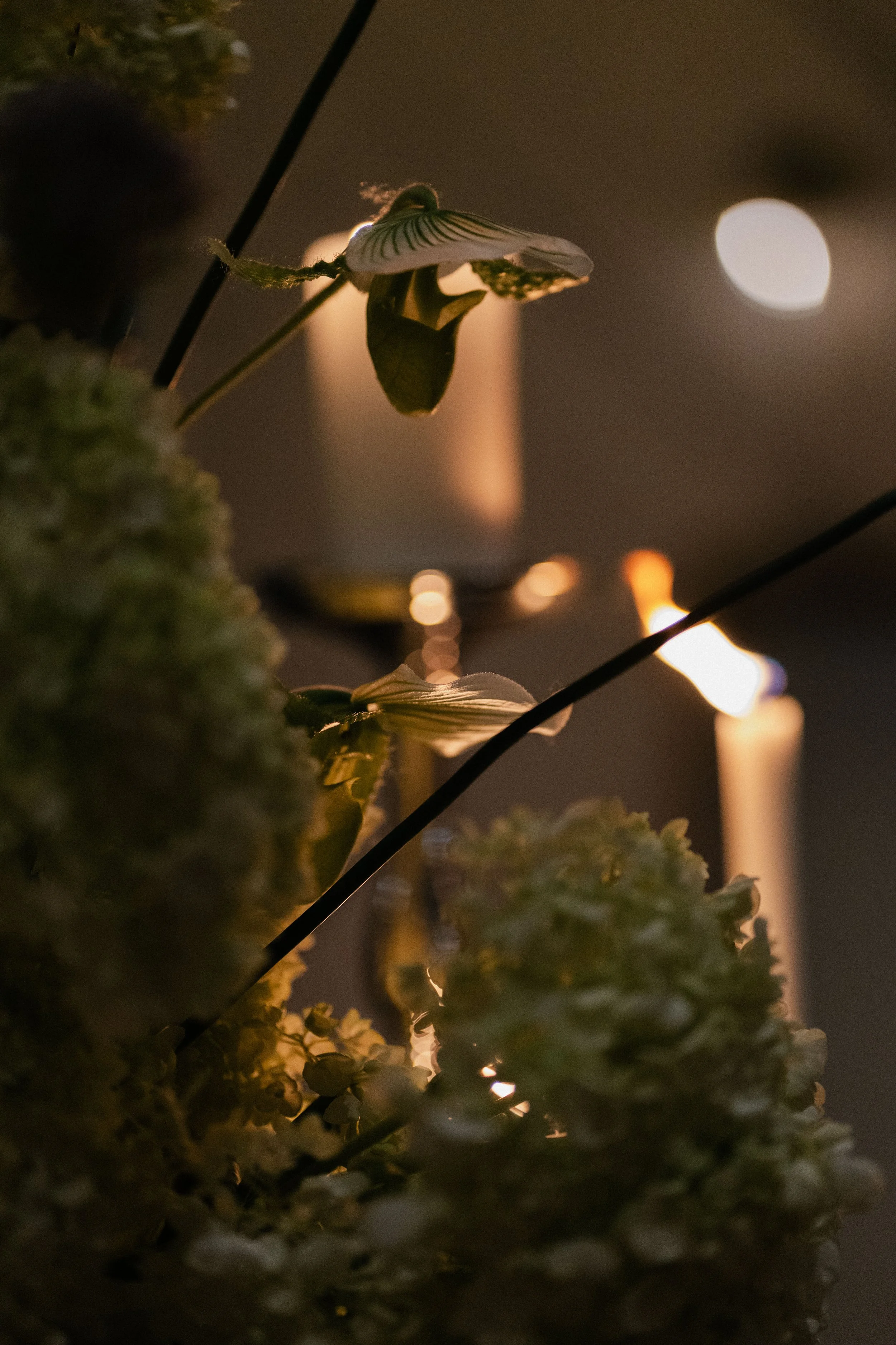 Sophie + Scott - Sneak Peak-55.jpg