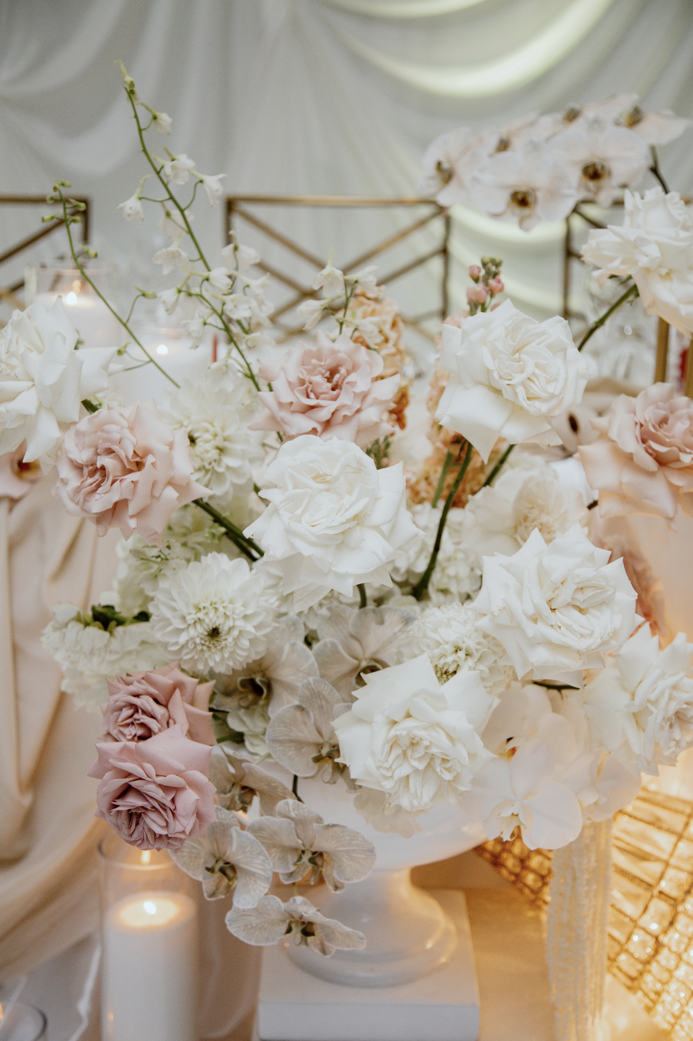 Screenshot 2026-03-27 at 12.08.04 pm.png