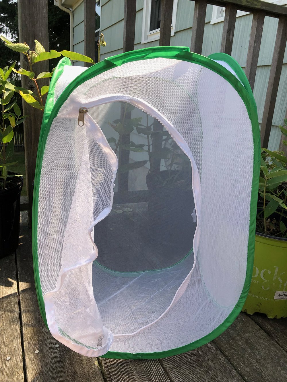 Rectangle Butterfly Cage for Insect and Butterfly Habitat Cage — Bonnie Mode