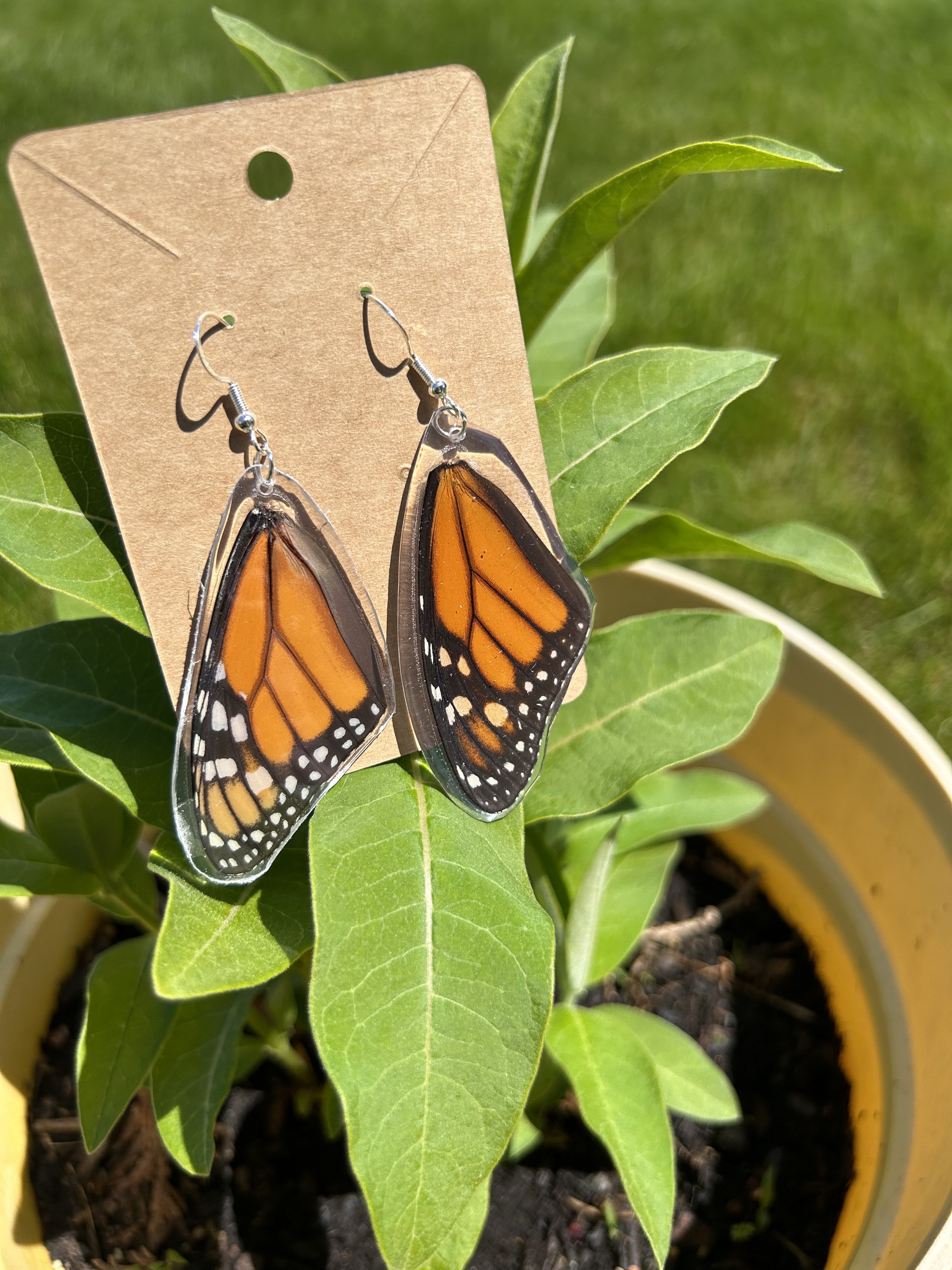 Buy Real Monarch Butterfly Earrings Monarch Forewing Butterfly Wings,  Butterfly Jewelry, Monarch Jewelry, Gifts for Her Online in India - Etsy