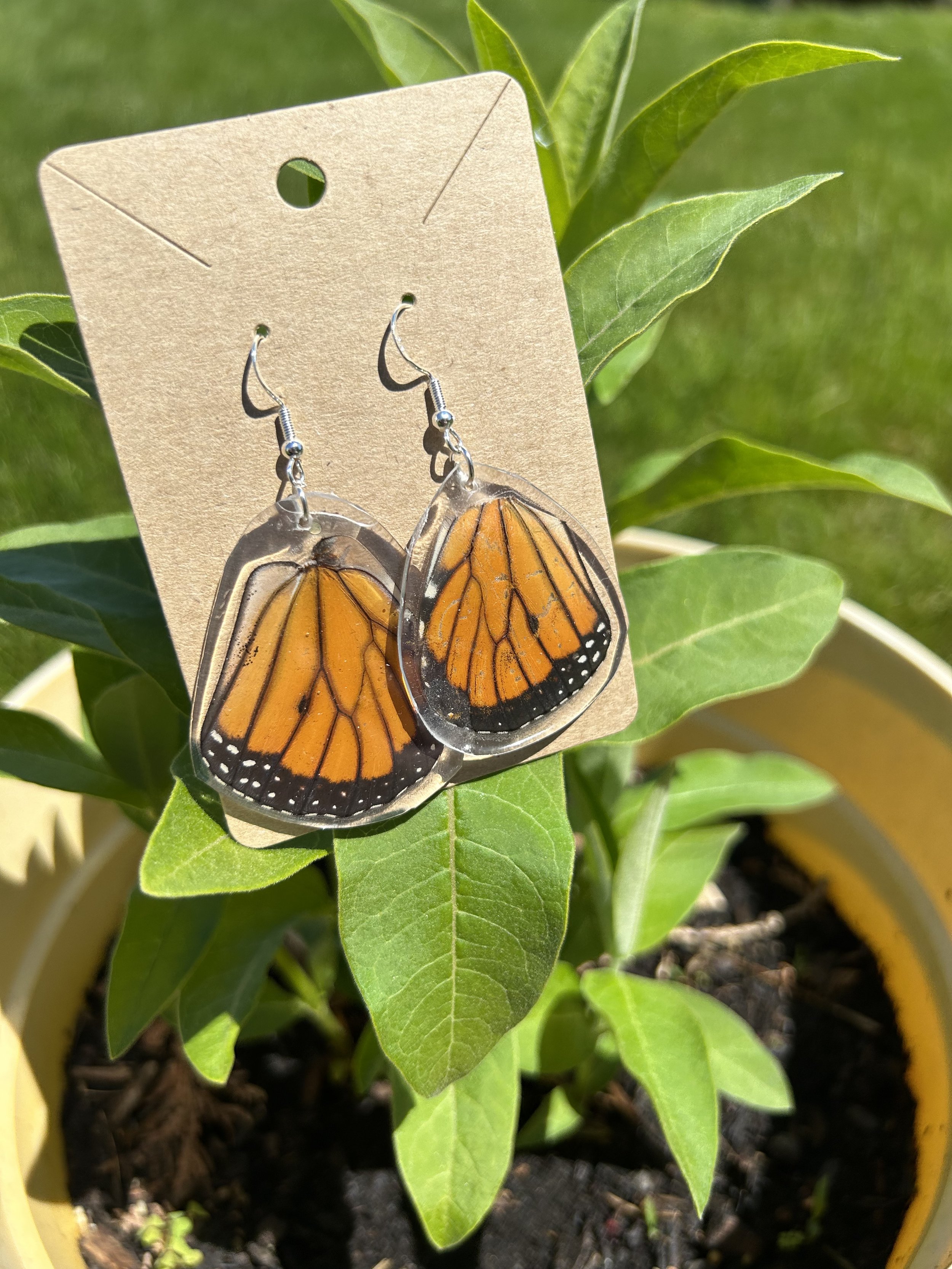 Monarch Butterfly large wing shaped earrings made with real butterfly wings  – no butterflies are harmed – Jewelry by Glassando