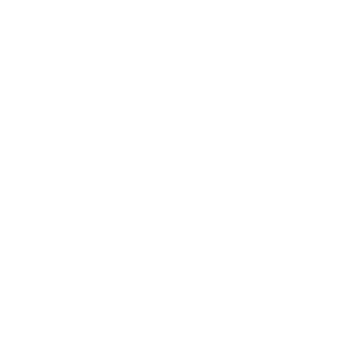 Branch + Blossom