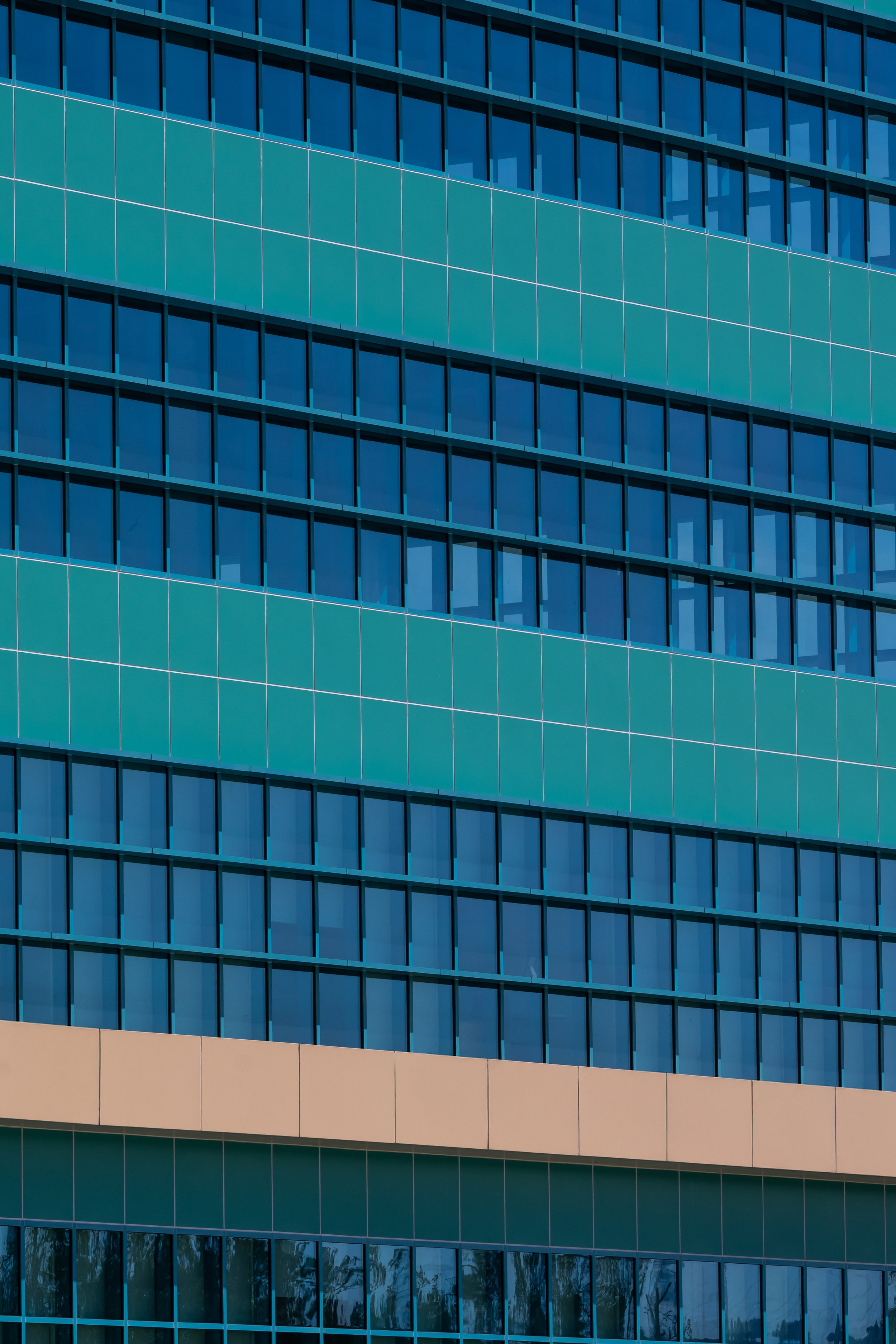 PSMC_P5_4.jpg