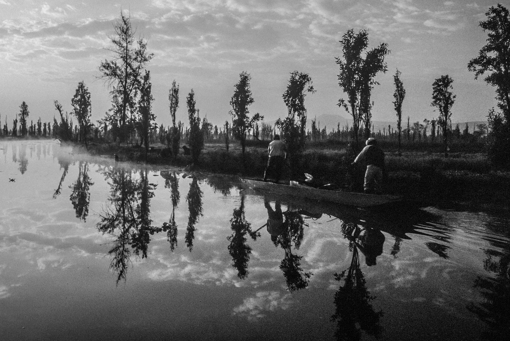 Agricultura Ca Chinampa Xochimilco 442-2-2-2.jpg