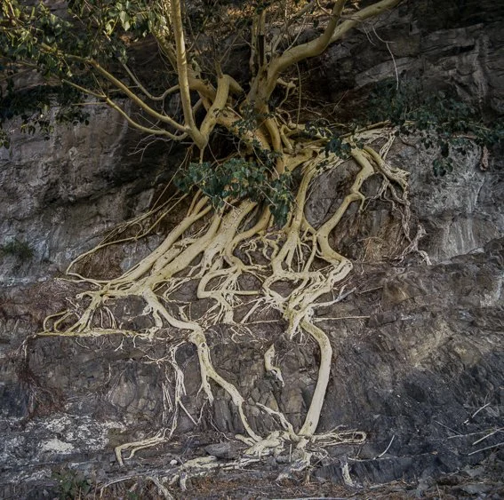 Mor. Cuernavaca053.jpg