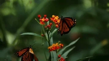 200.webp