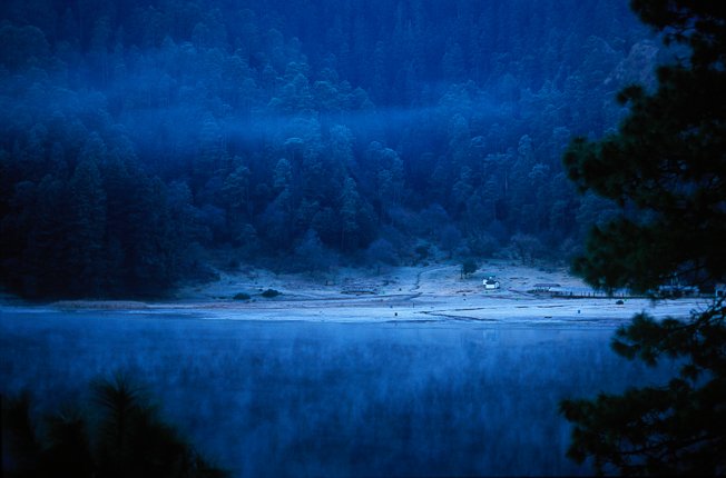 luna 48  copy-2-2.jpg