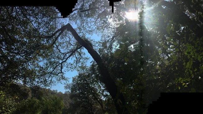 2016-02-08 13.04.07-2.jpg