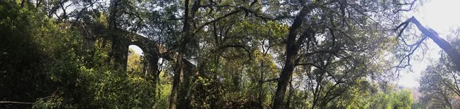 2016-02-08 13.03.56-2.jpg