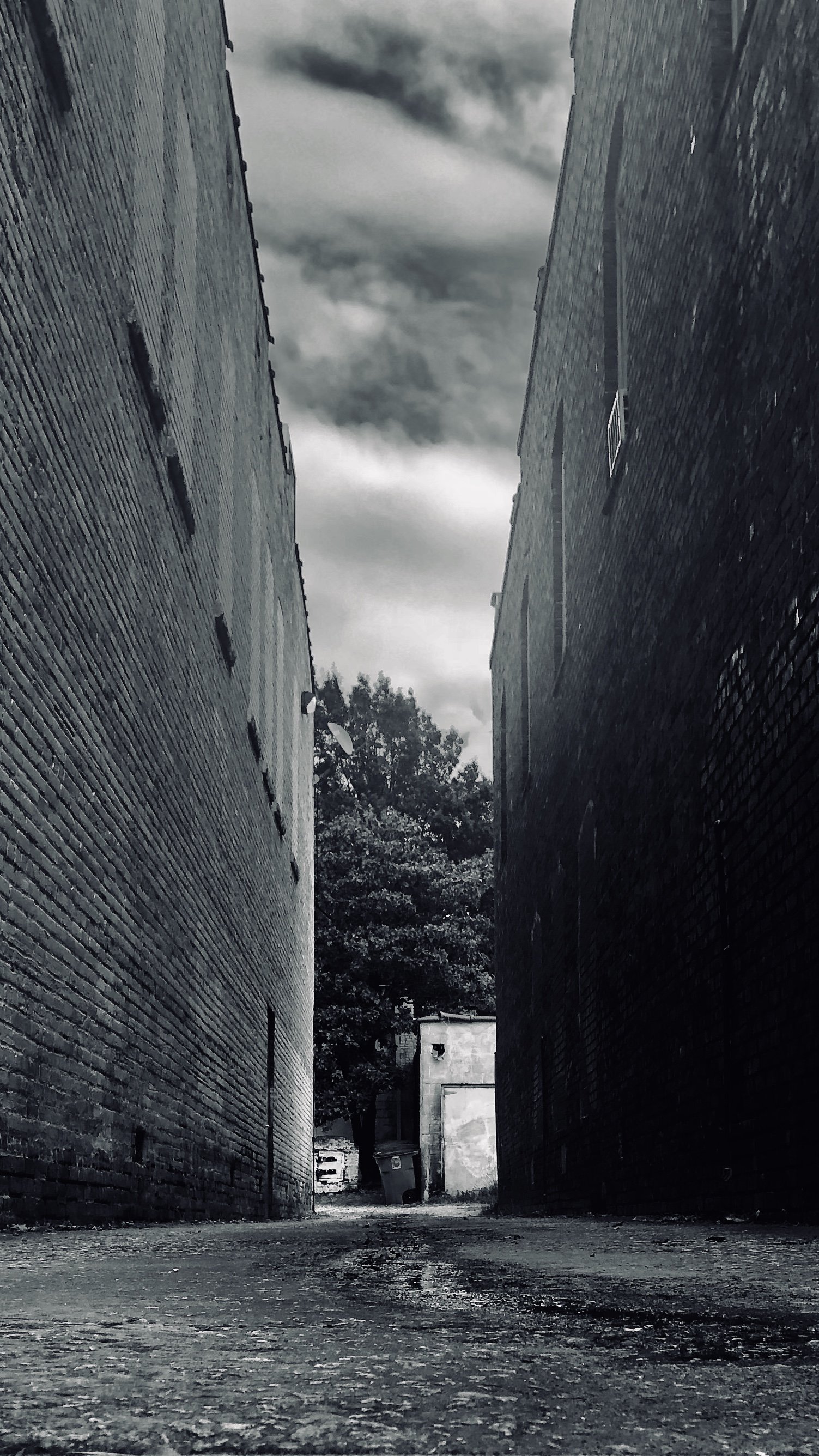 IMG_0042.JPEG