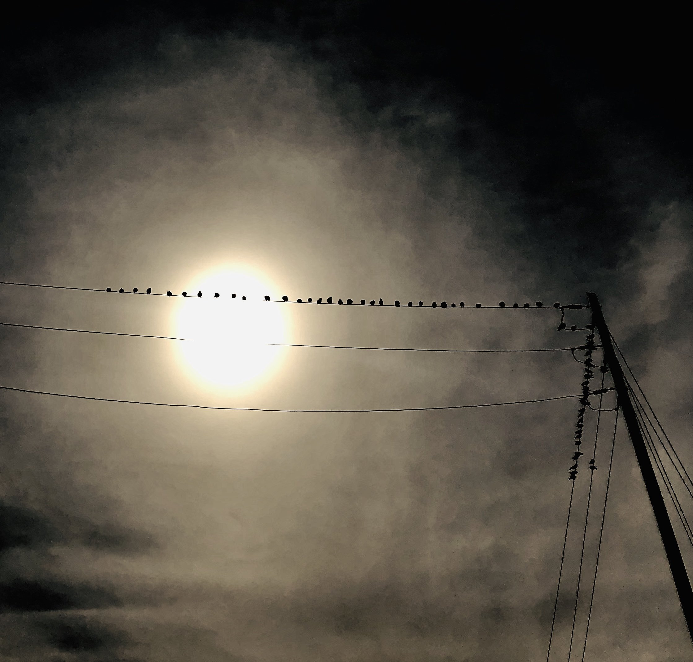 IMG_0714.JPEG