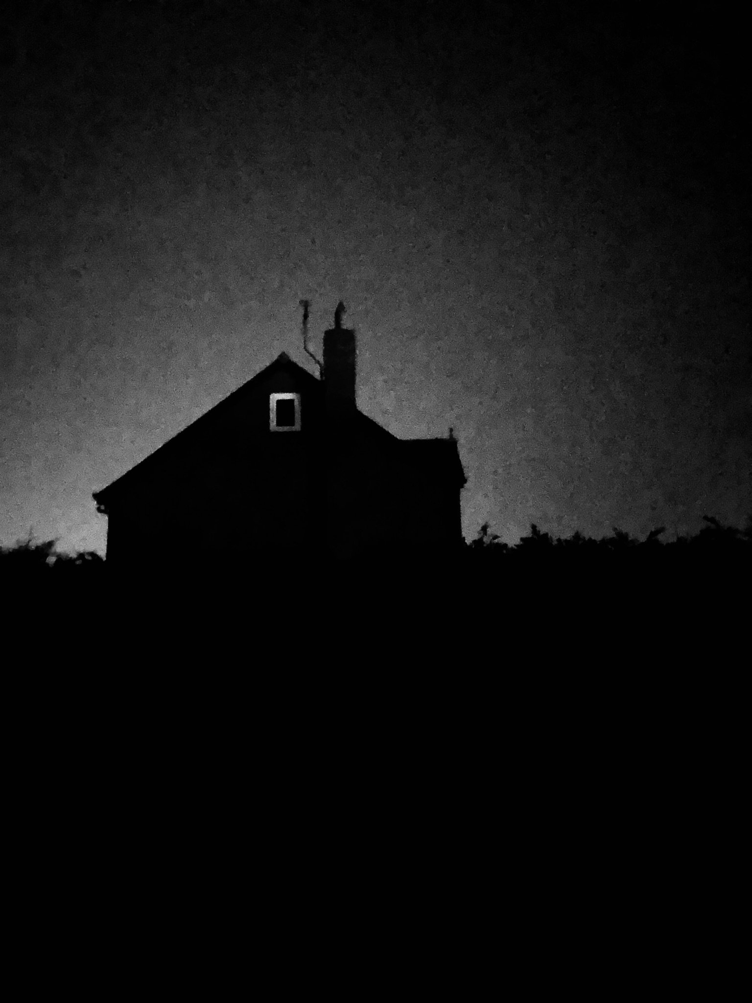 IMG_0010.JPEG