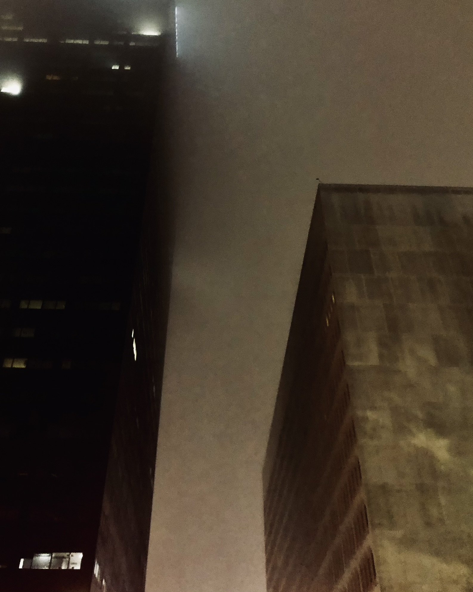 IMG_0317-1.JPEG