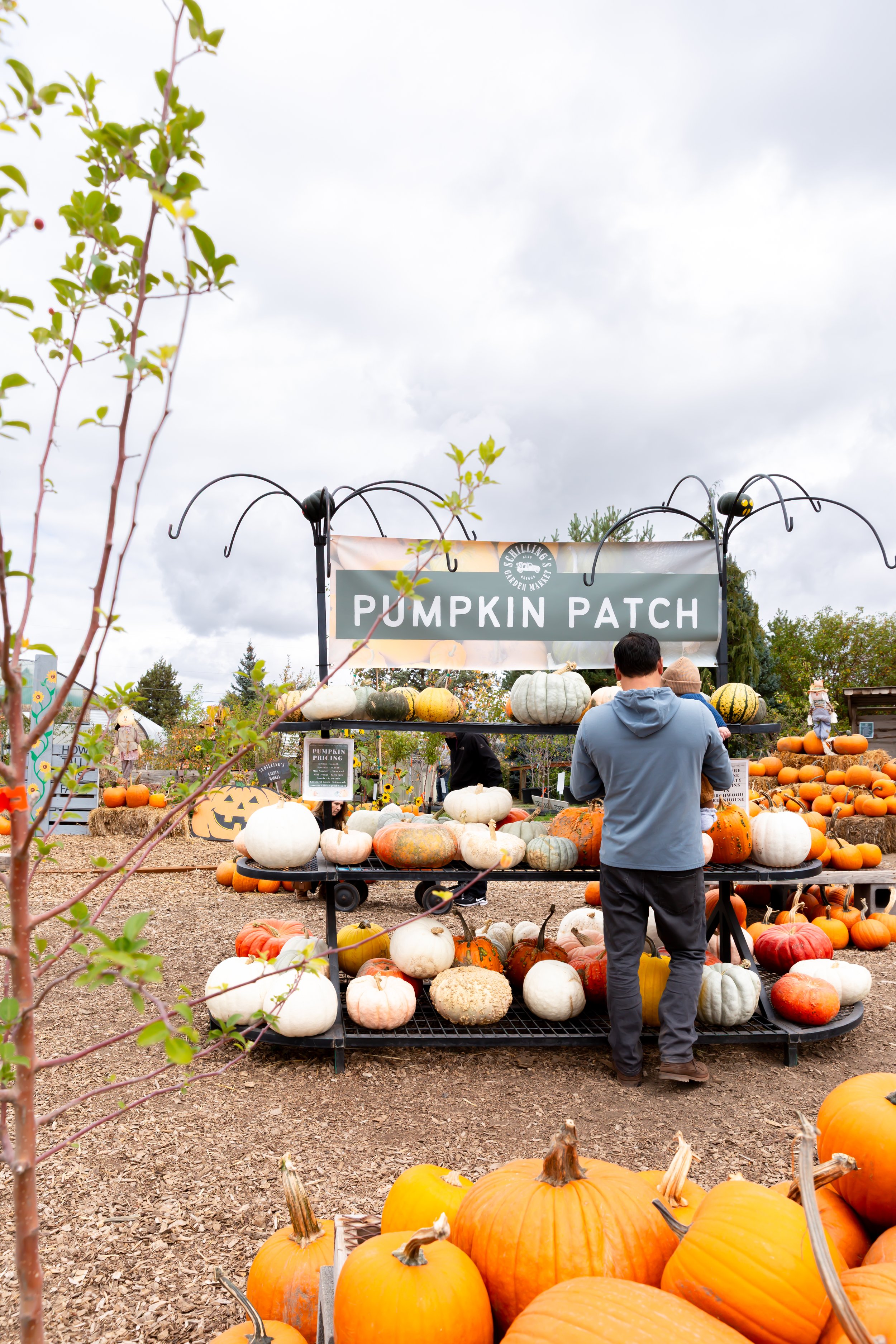 pumpkin-patch-2.jpg