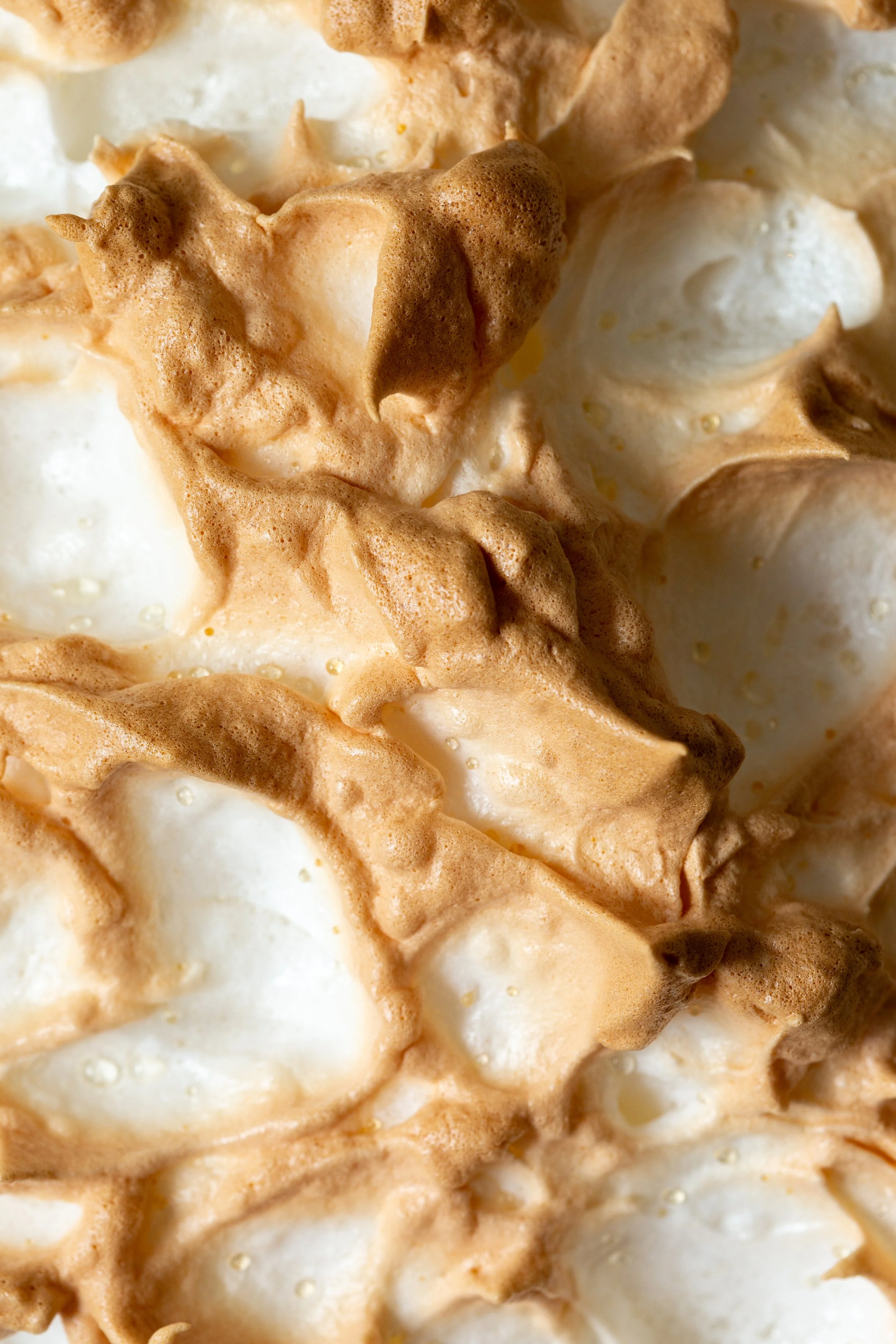 lemon-meringue-macro.jpg