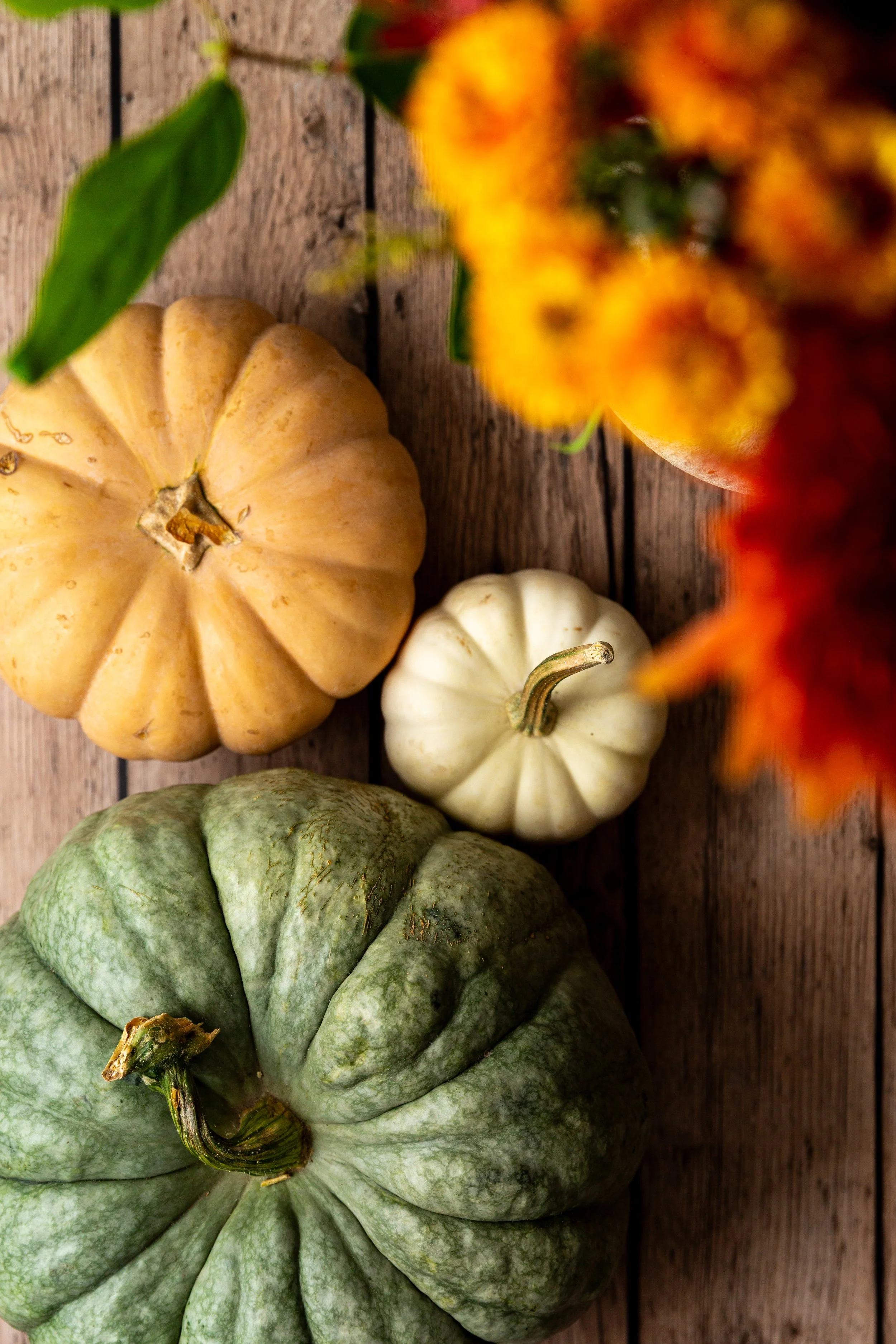 green-pumpkin-2.jpg