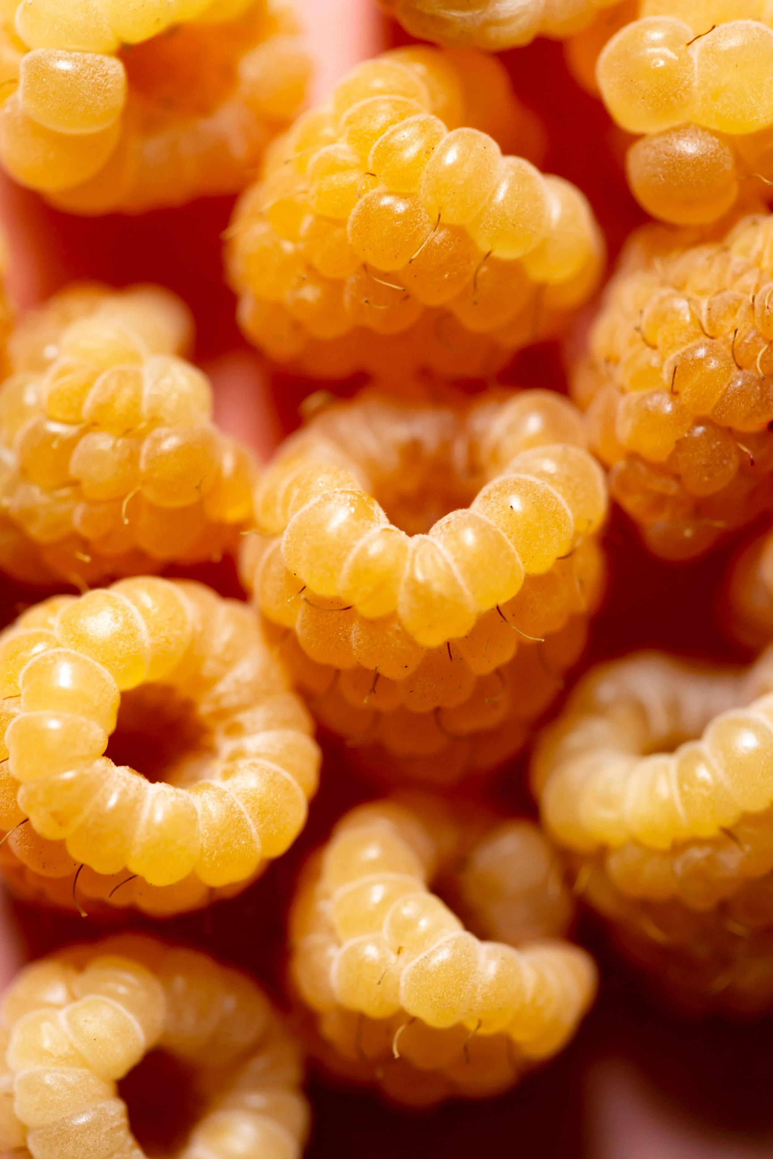 raspberries.jpg