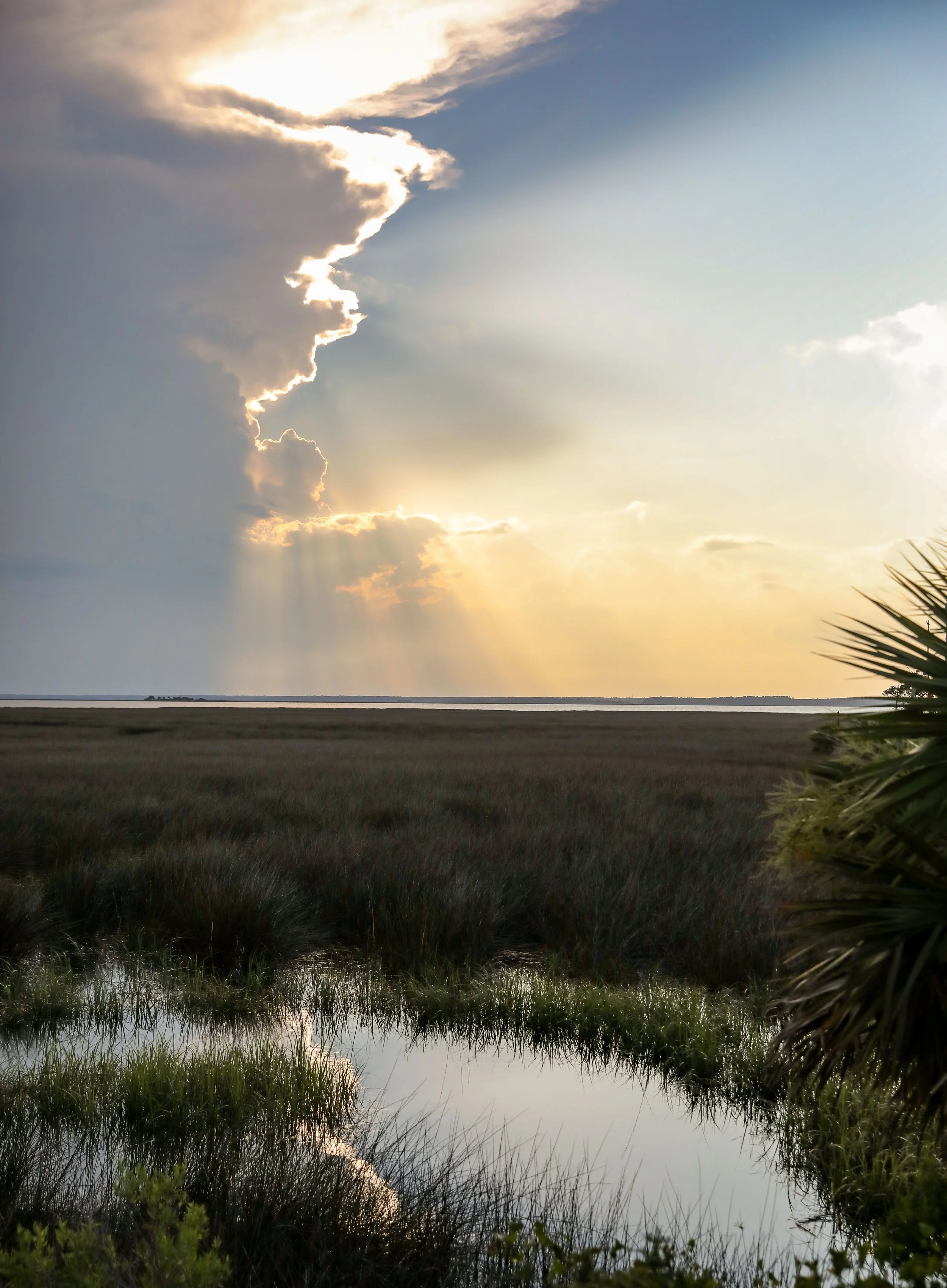 stmarksbeauty (1 of 1).jpg