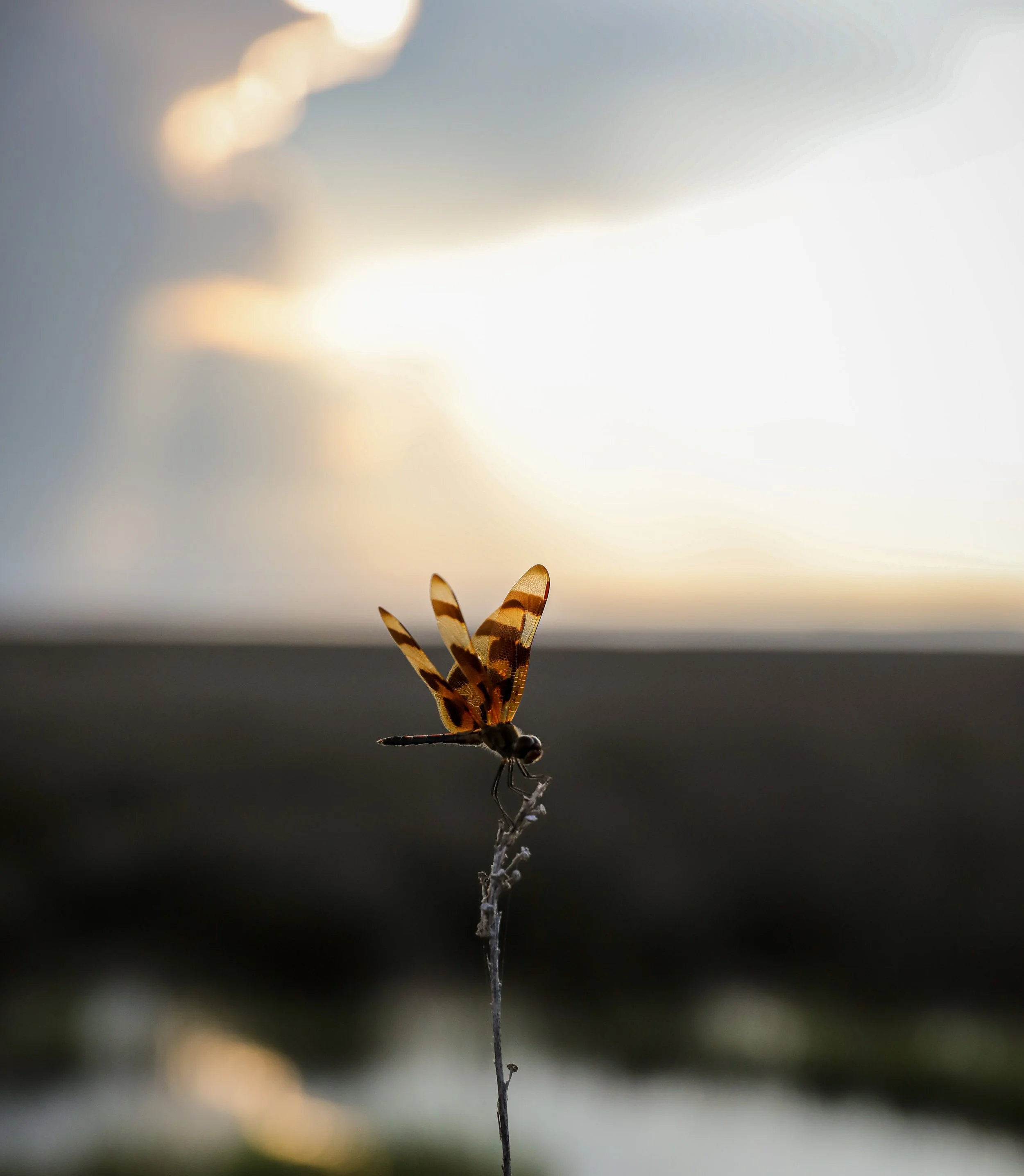 stmarksbeauty (1 of 1)-3.jpg